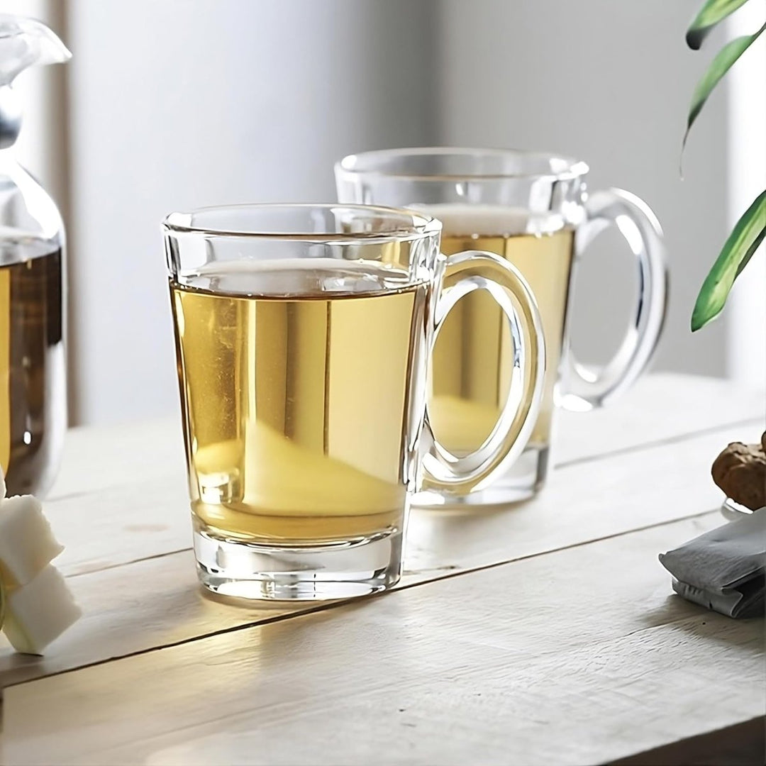 Glass Coffee/Tea Mug - 10.5oz - Set of 6 - BottleBuzz