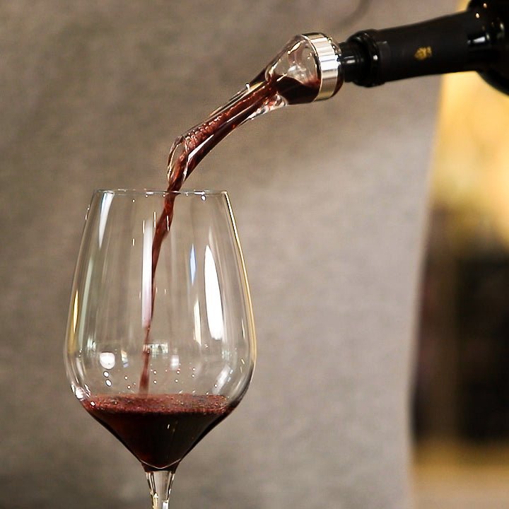 Wine Aerator Pourer - BottleBuzz